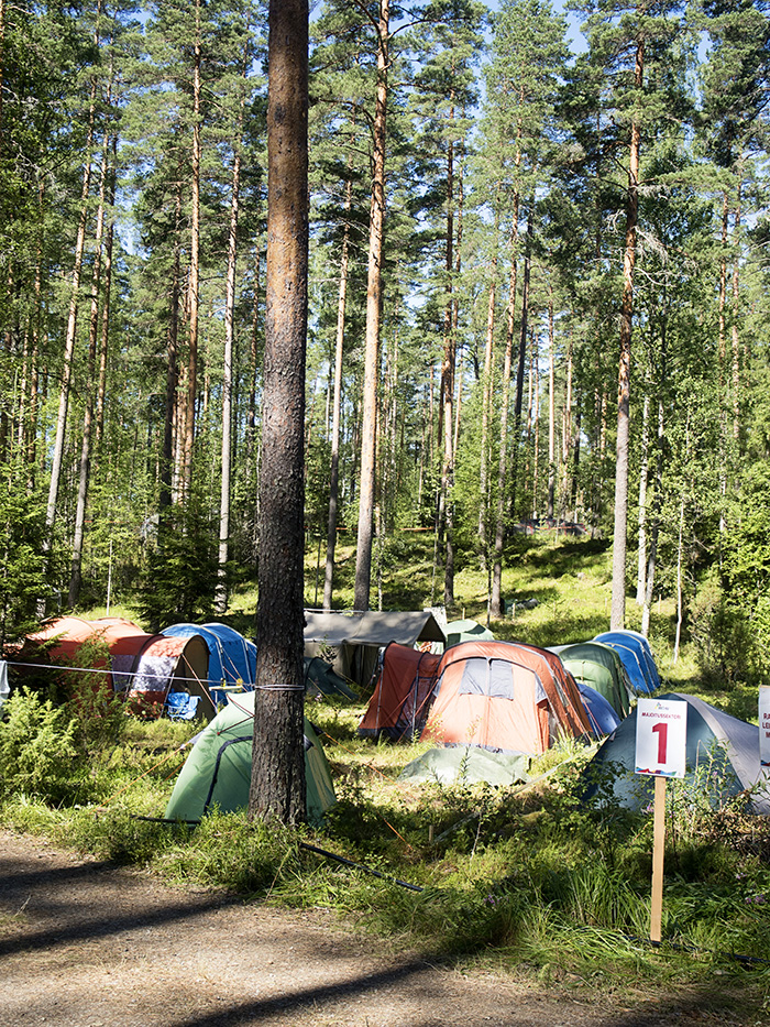 Roihu 2016 oli partioleiri ja metsäfestarit